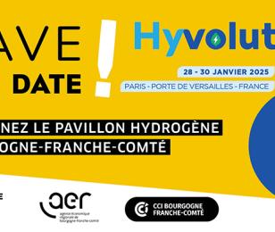 Hyvolution
